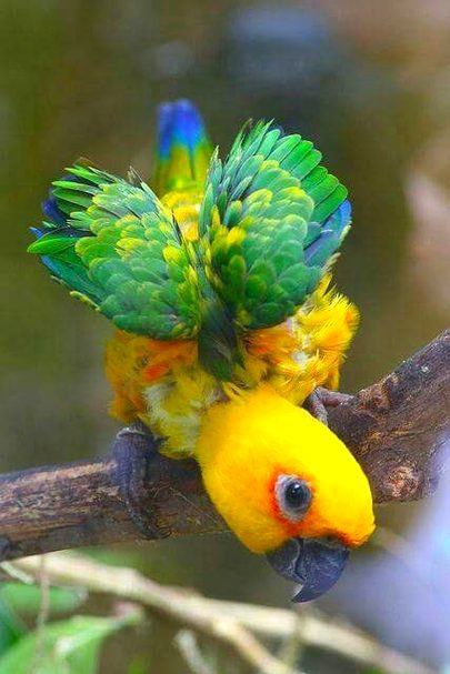 Beautiful Nature image