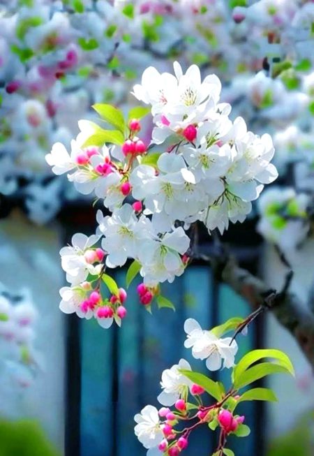 محبت کے علاوہ بھی لوگ ملتے ہیں 🌼
تكلفاً ، عادتاً ، رسماً ، فطرتاً ، ضرورتاً❣️