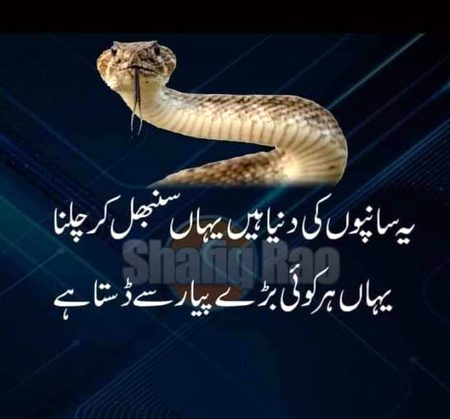 Attitude Poetry image