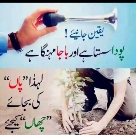 Lkn yha ulty hi km hoty ser drd ho jta gali ma bchy aty jty bjy bajaty