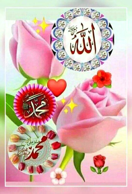 Islamic Quotes image