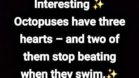 Interesting Posts image