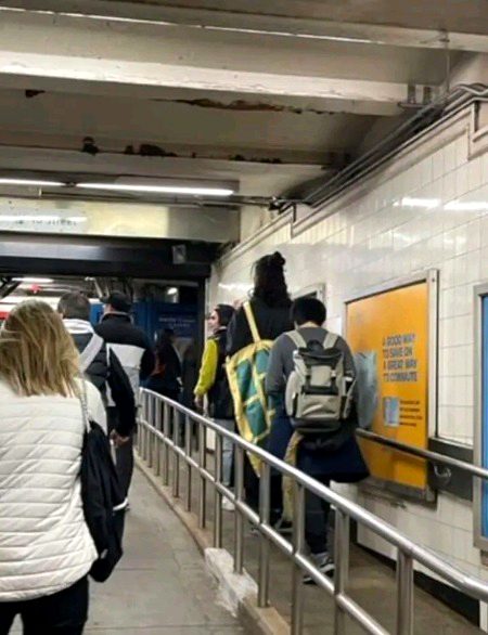 I am NOT getting on that train