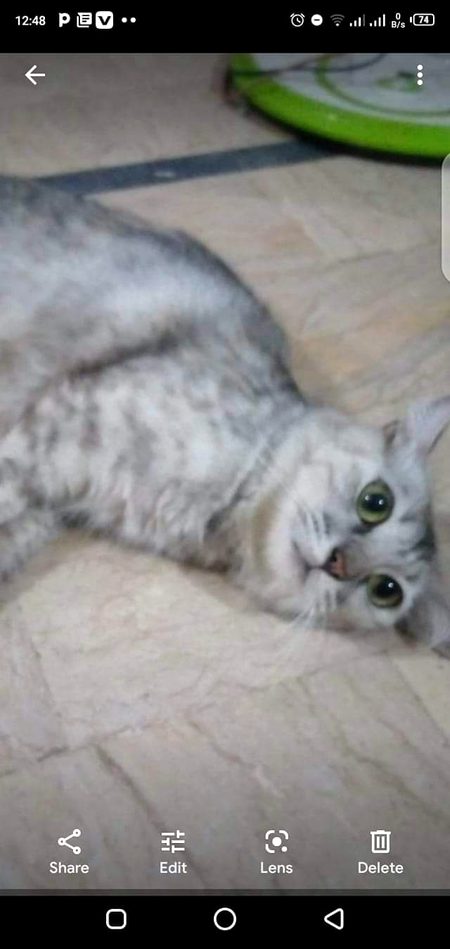 💕(My)💌(Life)😍(16)💞