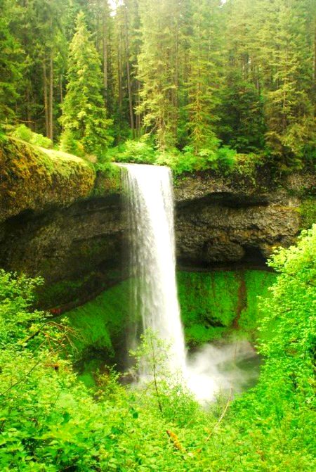 Beautiful Nature image