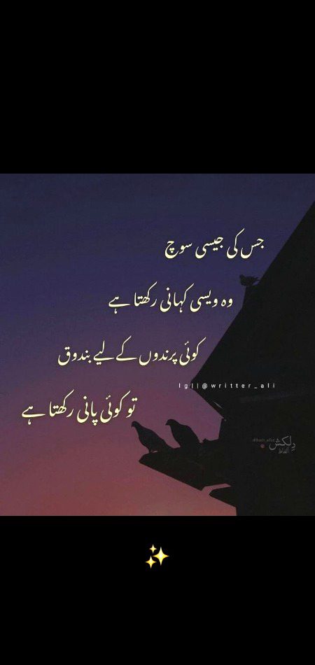 Shahnoor Abbasi✨