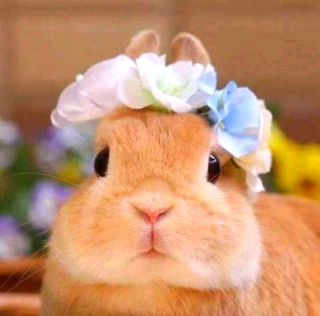 Beautiful Nature image