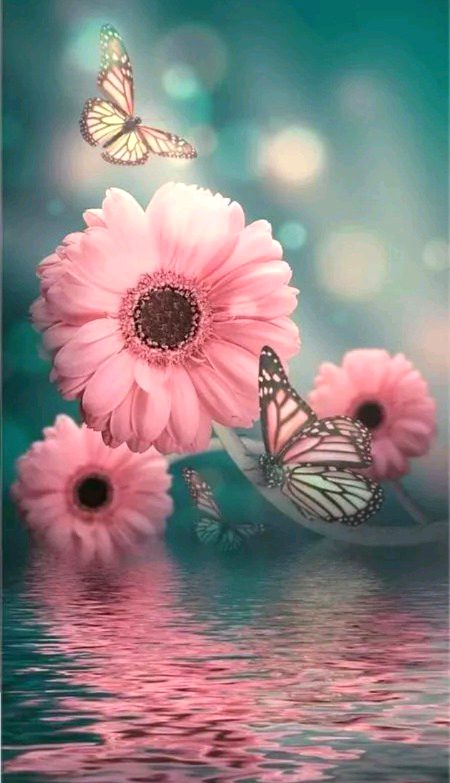Beautiful Nature image