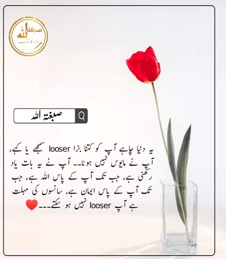 Samjh gaey.💫😊🌹🥀❤Dill sy nikli har bat asar rkhti he.❤