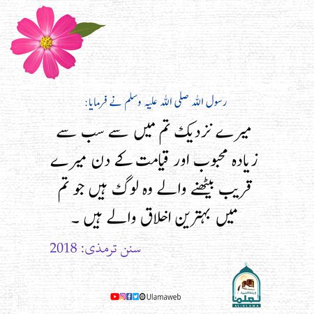 Islamic Quotes image