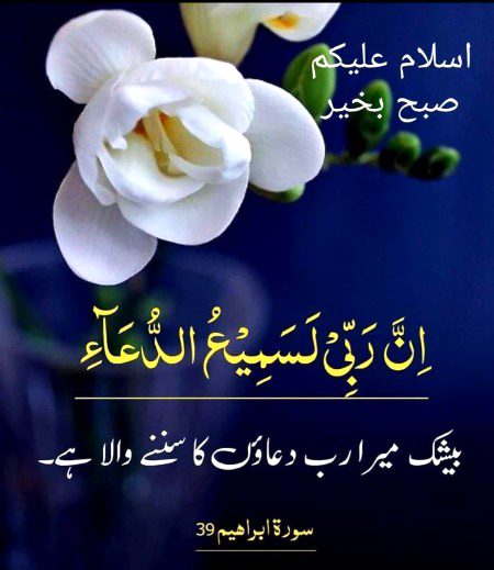 Islamic Quotes image