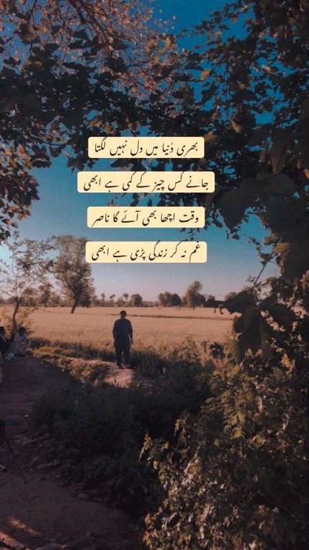 Motivational Quotes image