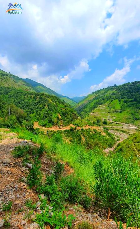 Beautiful Nature image