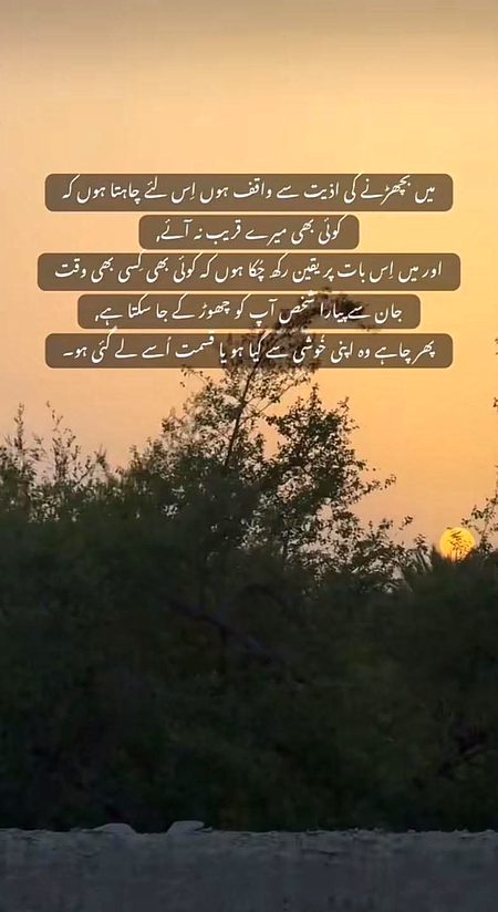 Sad Poetry image