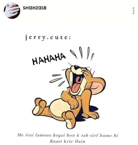 Damadam Roasting image