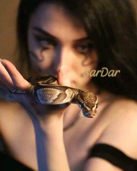 اور پھر مرد کو اگر سمجھا جائے تو وہ بُہت معصوم بھی واقعی ہوتا ہے ، وہ عورت کی ایک ادا اور تکلیف پر اپنی ساری جمع پُونجی لُٹا دیتا ہے جو اُس نے کبھی خود پر بھی خرچ نہیں کی ہوتی ، 
مگر اکثر عورتیں ناگن جیسی ہی ہوتی ہیں بس ڈسنا جانتی ہیں۔۔