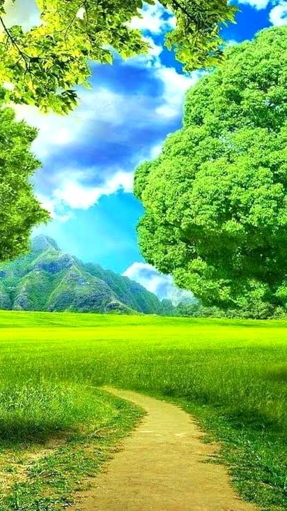 Beautiful Nature image