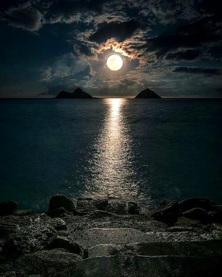 Beautiful Nature image