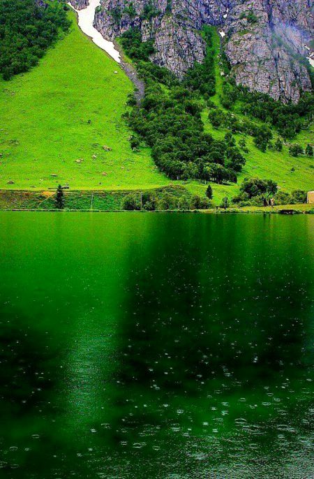 Beautiful Nature image