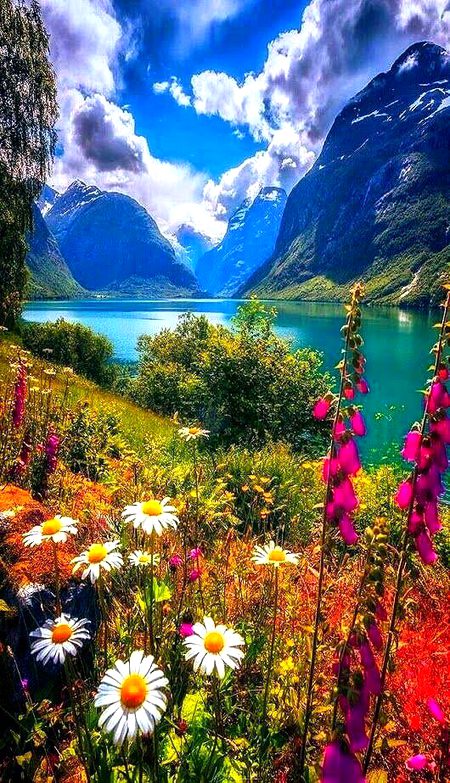 Beautiful Nature image