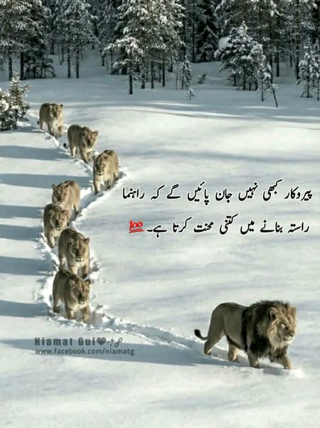 Attitude Quotes image