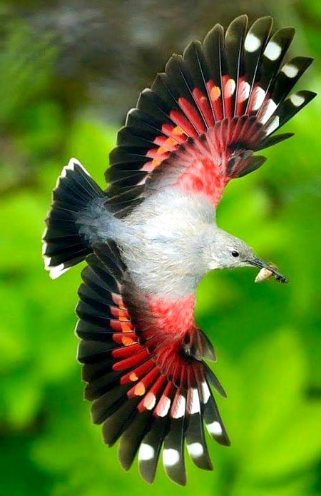 Beautiful Nature image