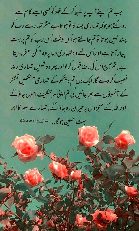 Islamic Quotes image
