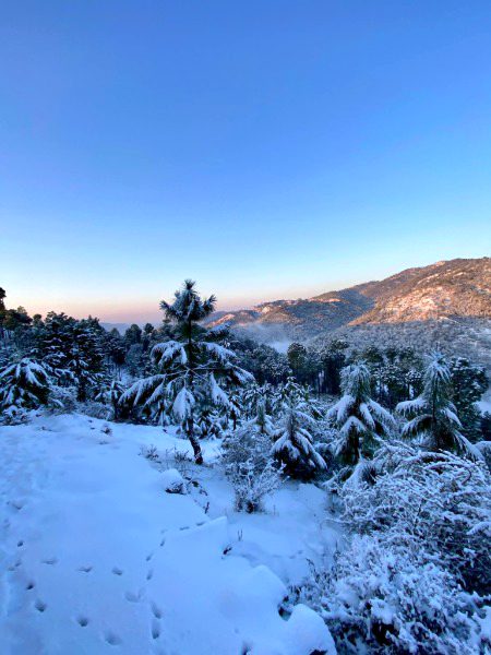 Beautiful Nature image