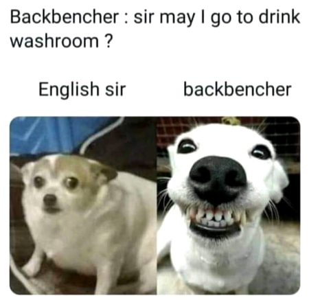 Memes & Satire image