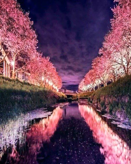 Beautiful Nature image