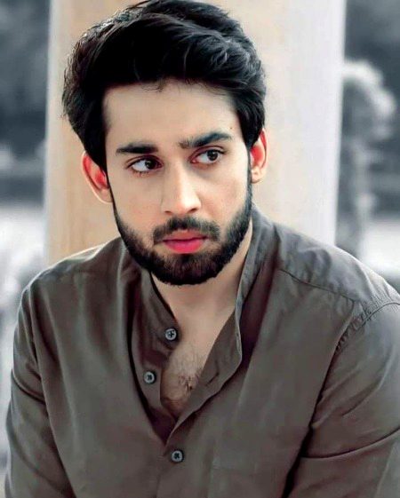 Pakistani Celebs image