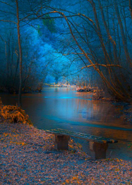 Beautiful Nature image
