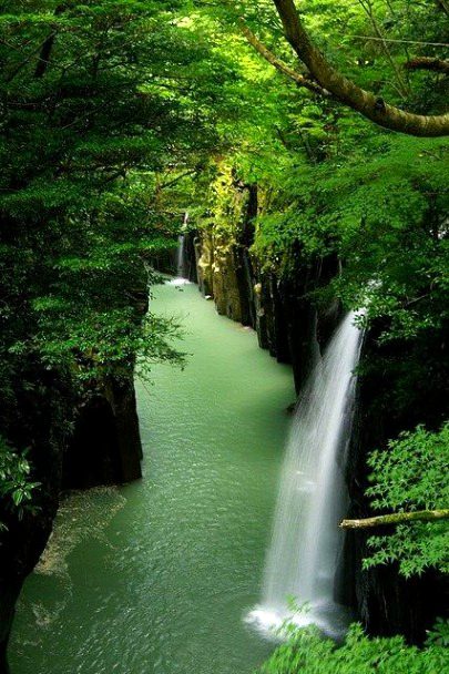 Beautiful Nature image