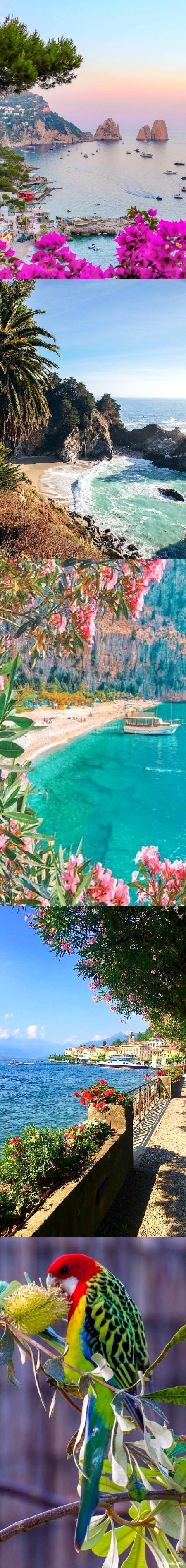 Beautiful Nature image