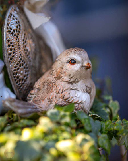 Beautiful Nature image