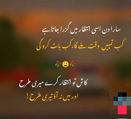 For you marayam Nawaz sahiba.. silent 🤐 Life 🧬