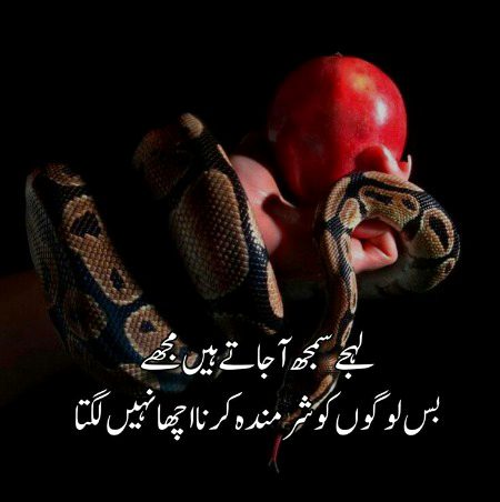 Attitude Poetry image