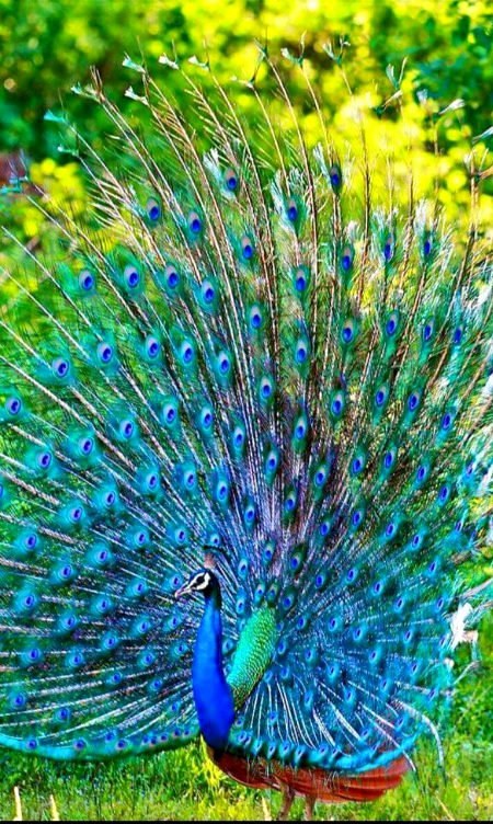 Beautiful Nature image