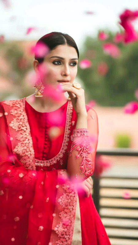 Pakistani Celebs image