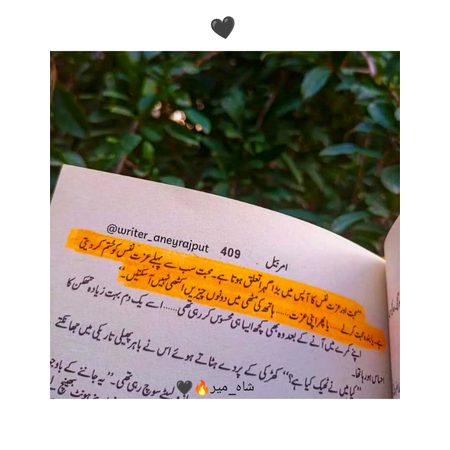 Romantic Novels image