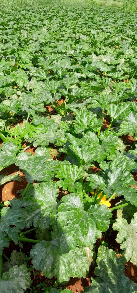 Beautiful Nature image