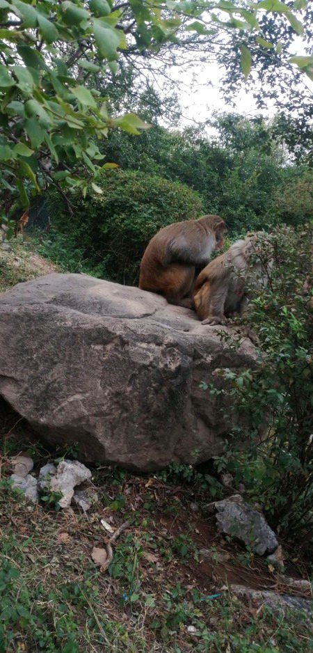 Beautiful Nature image