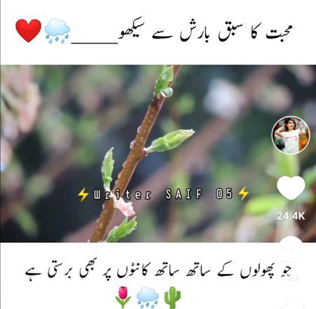 محبت کا سبق بارش سے سیکھو