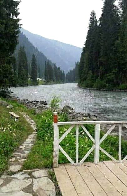 Beautiful Nature image