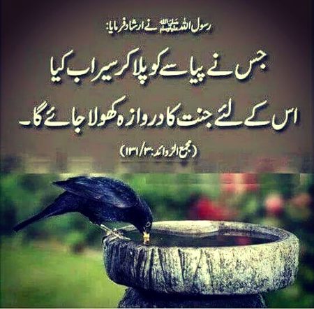 Rasol pak NY iRshaad farmaya