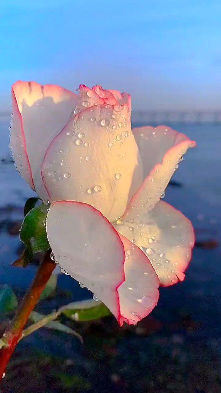 Beautiful Nature image