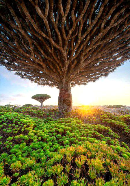 Beautiful Nature image