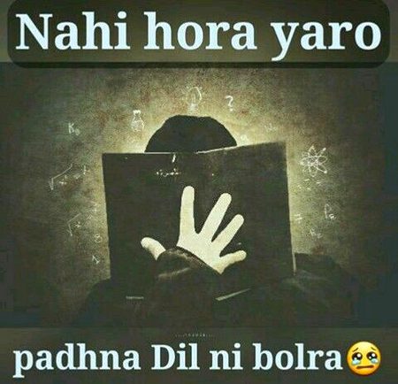 Memes & Satire image