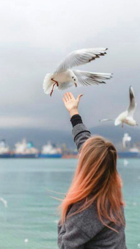 دل جو ٹوٹا تو آواز نہیں آئی
بس زندگی ذرا سی خاموش ہو گئی…🍁🍂
 کچھ خاموش لمحے دل پر بہت بھاری ہوتے ہیں
جہاں الفاظ نہیں، صرف احساس بولتے ہیں