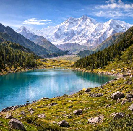 Beautiful Nature image